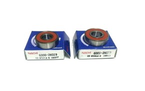 Zestaw łożysk silnika do odkurzacza Rainbow E2 Gold & Blue